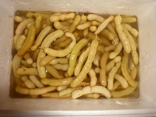 cách làm mứt me xanh đơn giản