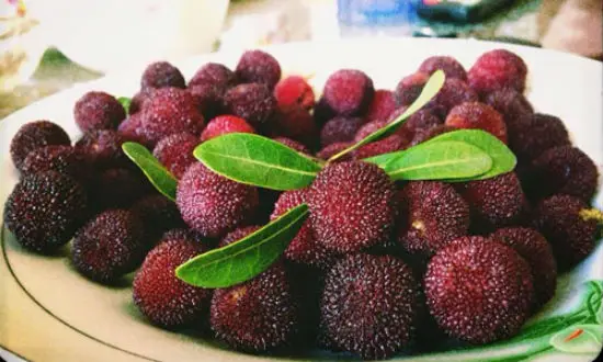 Sơ chế nguyên liệu làm mứt thanh mai