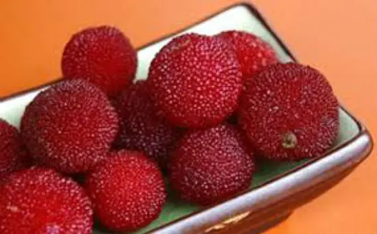 Nguyên liệu làm 1kg mứt thanh mai