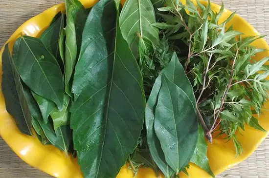 nem nắm sơ chế