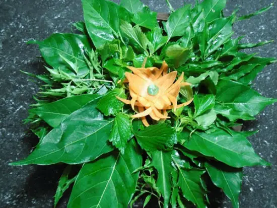 Sơ chế nguyên liệu làm nem tai thính