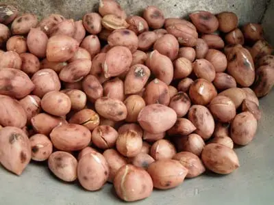 Cách làm nộm hoa chuối tai heo ngon không bị thâm lợi sữa cho mẹ mới sinh phần 10
