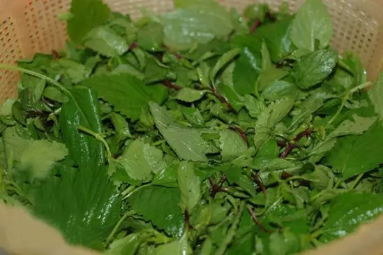 Cách làm nộm hoa chuối tai heo ngon không bị thâm lợi sữa cho mẹ mới sinh phần 8