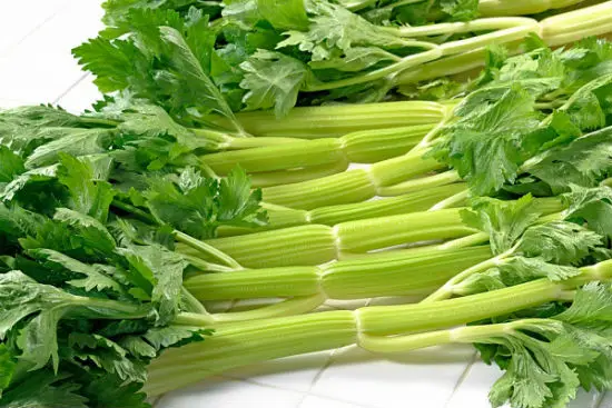 Thái khúc cần tây