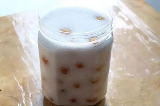 Cho mơ vào hũ để làm nước mơ ngâm