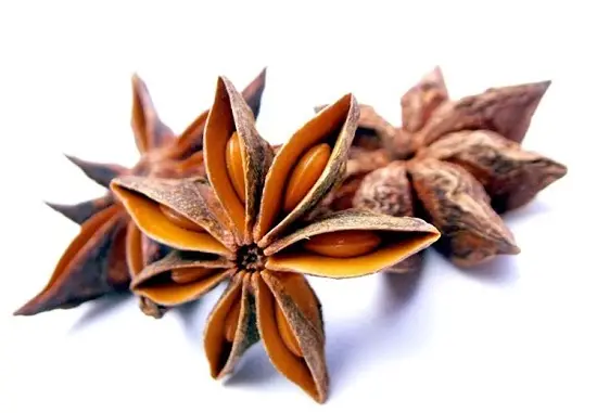 hoa hồi