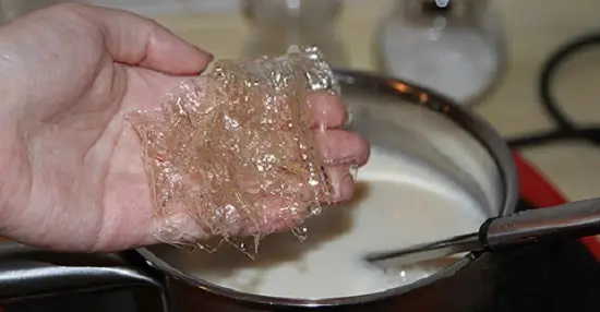 cho lá gelatine vào sữa