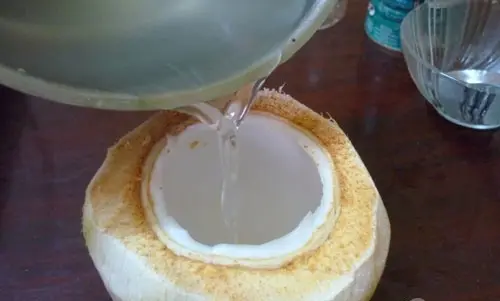 Cách làm rau câu trái dừa nguyên quả đơn giản dễ làm tại nhà