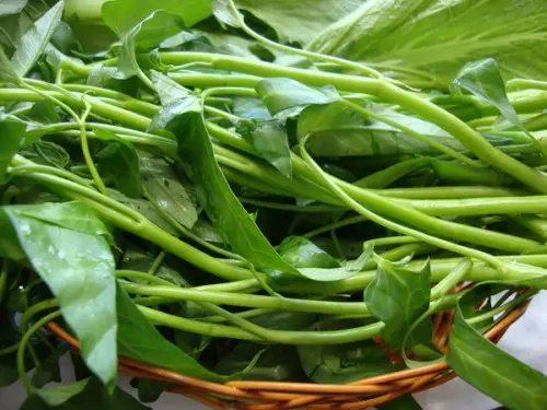 cách làm rau muống xào xanh ngon
