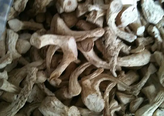 cach-lam-ruoc-nam-huong-chay-tai-nha-3