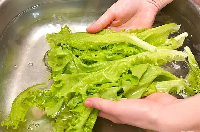 Kết quả hình ảnh cho xà lách rửa sạch