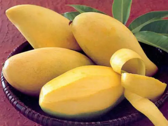 Cách chọn xoài để làm sinh tố xoài ngon