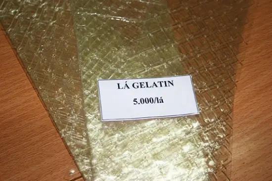 gelatin-570x380