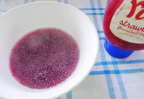 Cách làm sữa chua mít ngon không cưỡng nổi 2