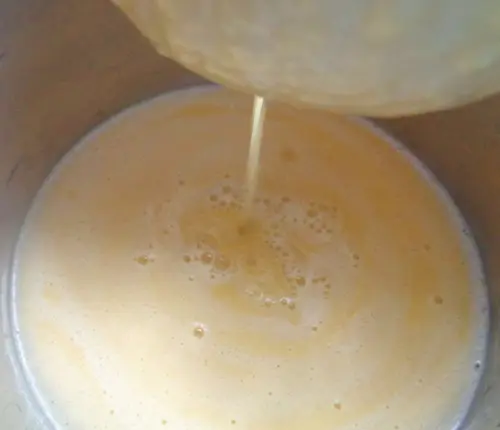 Cách làm sữa ngô thơm mát ngày hè - 7