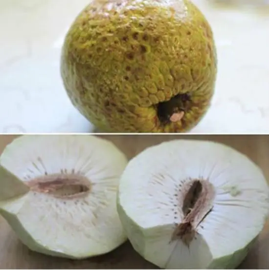 Cách làm sườn non ninh sa kê ngon mê li 3