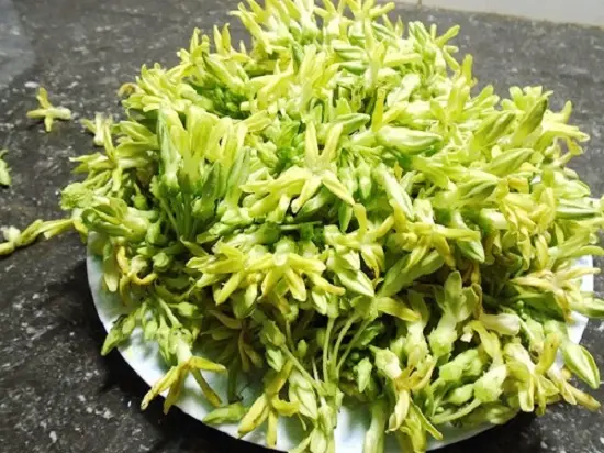 Chuẩn bị nguyên liệu làm thiên lý xào thập cẩm 1