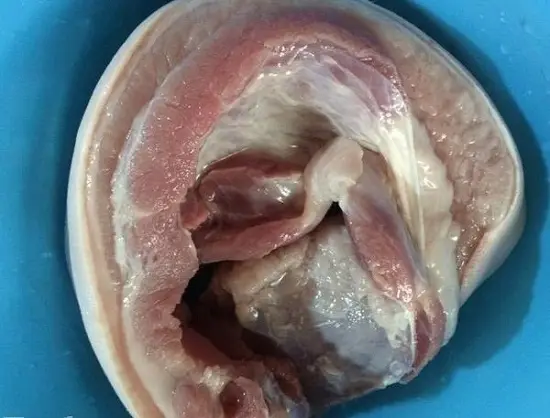 thịt ba chỉ áp chảo sơ chế
