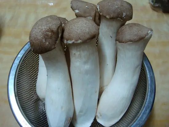 cách làm thịt bò băm quấn nấm
