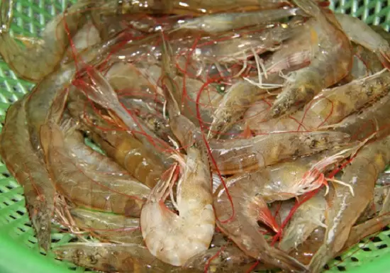 Chuẩn bị nguyên liệu làm tôm luộc