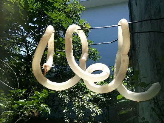 đem lòng đi phơi nắng - cách làm xúc xích