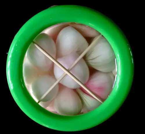 cach-muoi-hanh-cu