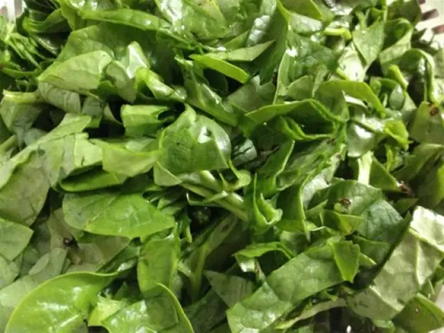 Cách nấu canh ngao mồng tơi ngọt hấp dẫn 4