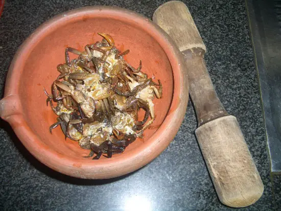 canh-rieu-cua-3