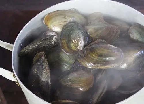 Hai-cong-thuc-nau-chao-vua-ngon-vua-don-gian-2