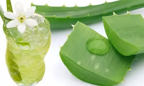 Cách nấu nước nha đam đường phèn thanh mát trị mụn đơn giản