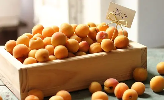 cách ngâm quả mơ chọn quả mơ