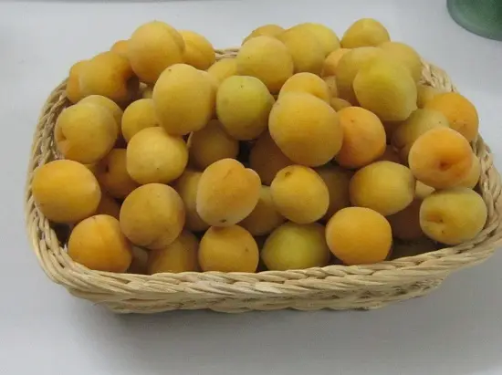 cách ngâm quả mơ chọn mơ