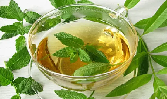 ngâm lá bạc hà
