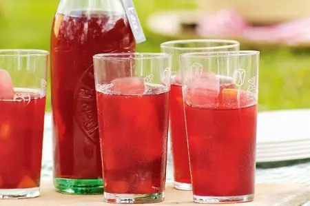 tra việt quất