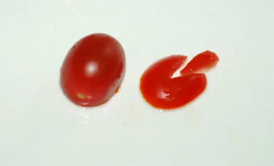 cach-tia-ca-chua-thanh-chu-tho-xinh-cuc-don-gian-3