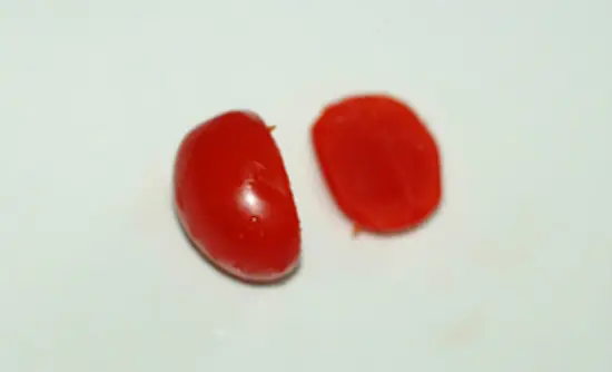 cach-tia-ca-chua-thanh-chu-tho-xinh-cuc-don-gian-2