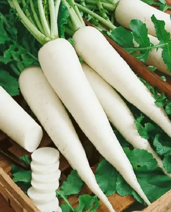 cách trị nhiệt miệng nước củ cải