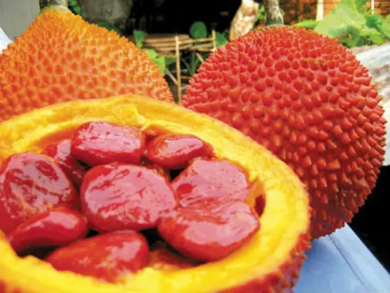 cham-soc-lan-da-bang-dau-gac-tu-lam-02
