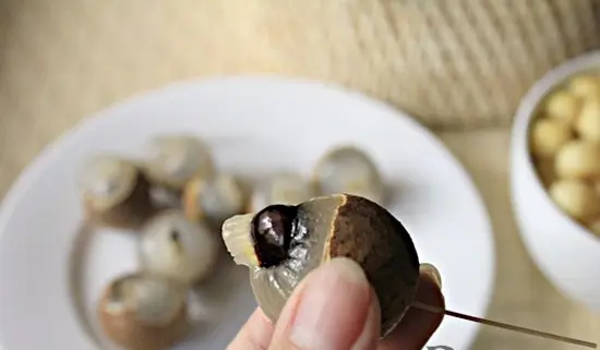 CHÈ SEN NHÃN GIẢI NHIỆT NGÀY HÈ