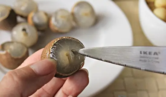 CHÈ SEN NHÃN GIẢI NHIỆT NGÀY HÈ