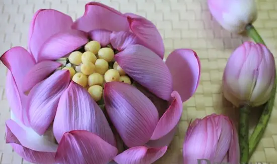 CƠM GÀ HẤP LÁ SEN