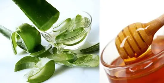 Công dụng của cây nha đam3