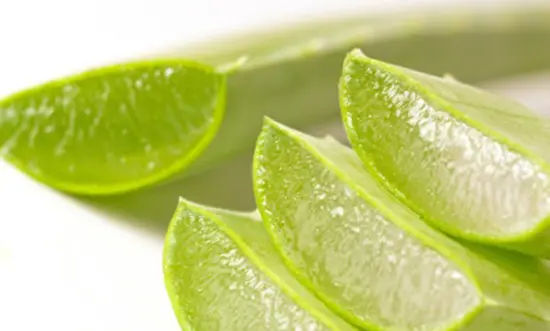 Công dụng của cây nha đam