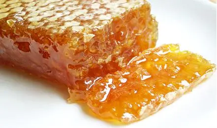 sap-mat-ong-rung