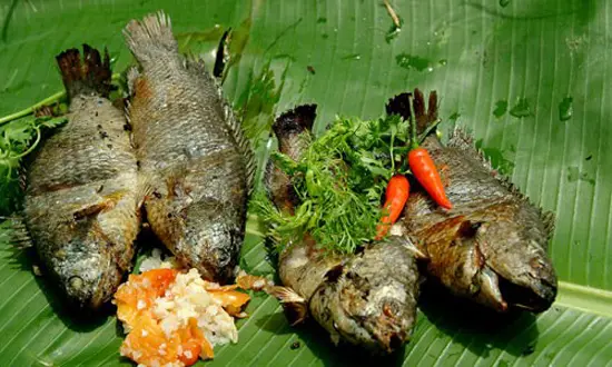 CÔNG DỤNG ÍT BIẾT TỪ NHỮNG MÓN CÁ RÔ