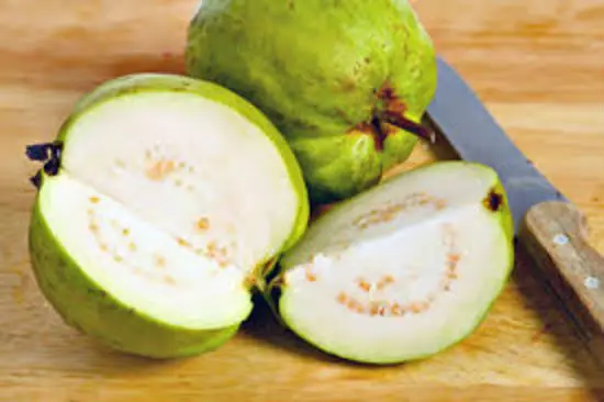 Ăn ổi giúp tăng cường chức năng của hệ tiêu hóa