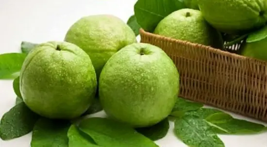 Đặc điểm quả ổi