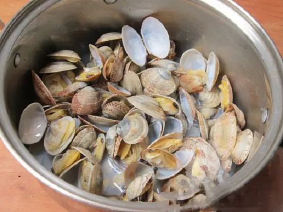 Luộc ngao để làm món canh ngao nấu chua