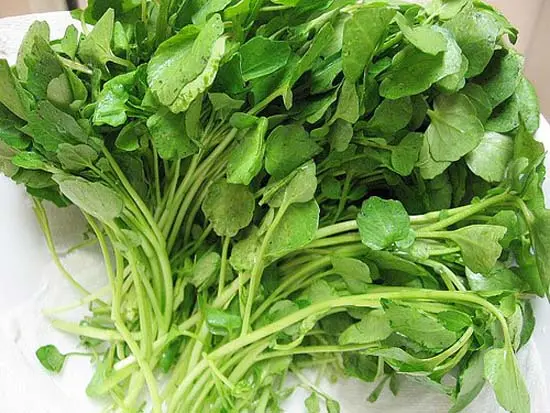 canh-cai-xoong-nau-thit-3