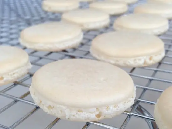 bánh Macaron sau khi nướng